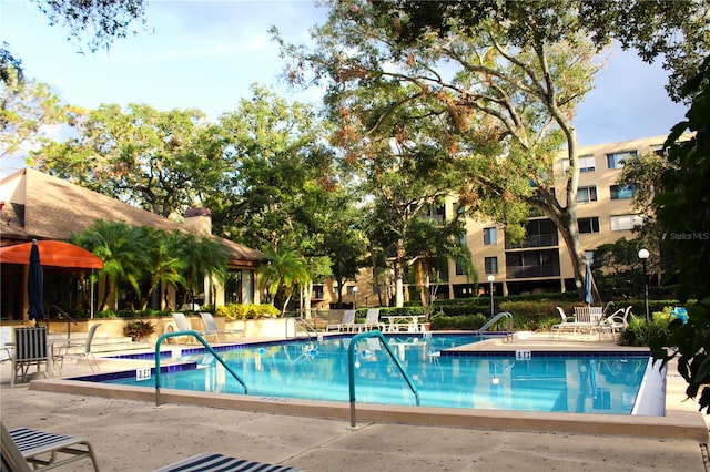 view of swimming pool with a patio area