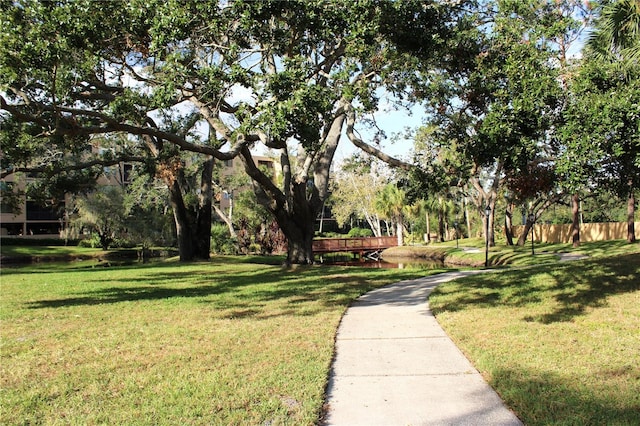 view of home's community with a yard