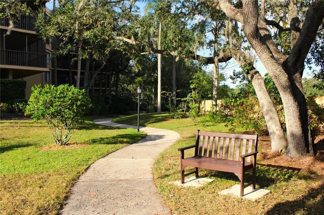 3076 Eastland Blvd Unit 106, Clearwater, FL 33761 - photo 47