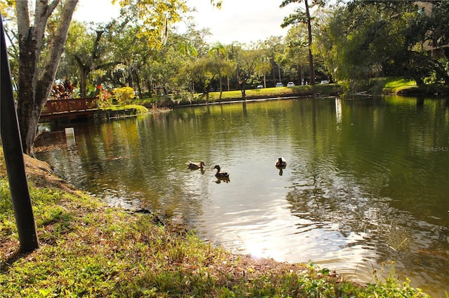 3076 Eastland Blvd Unit 106, Clearwater, FL 33761 - photo 48
