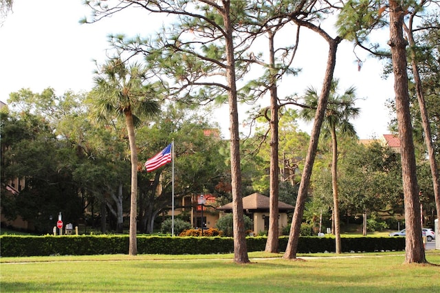 view of property's community with a lawn