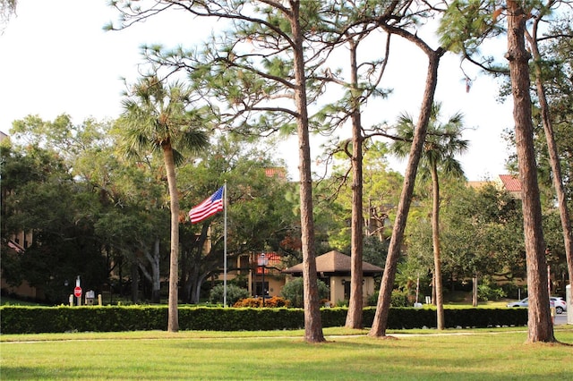 3076 Eastland Blvd Unit 106, Clearwater, FL 33761 - photo 50