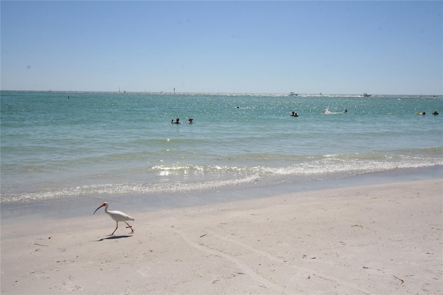 water view featuring a view of the beach