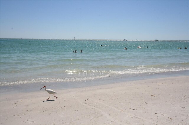 3076 Eastland Blvd Unit 106, Clearwater, FL 33761 - photo 59