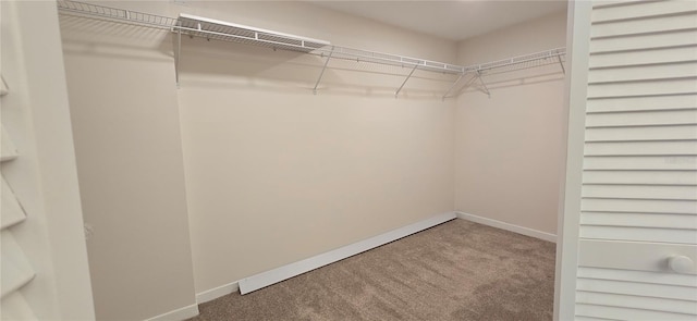 3076 Eastland Blvd Unit 106, Clearwater, FL 33761 - photo 20