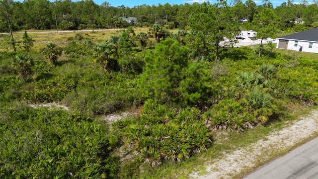 1217 Magnolia Ave, Lehigh Acres, FL 33972