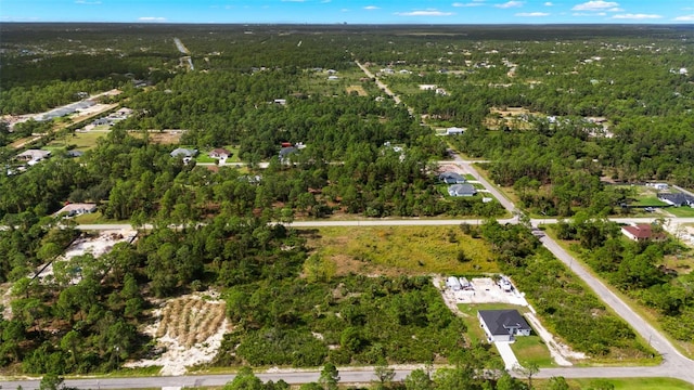 1217 Magnolia Ave, Lehigh Acres, FL 33972