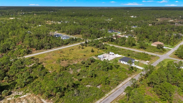 1217 Magnolia Ave, Lehigh Acres, FL 33972