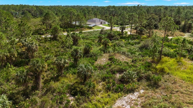 1217 Magnolia Ave, Lehigh Acres, FL 33972