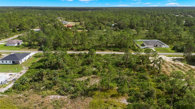 1217 Magnolia Ave, Lehigh Acres, FL 33972