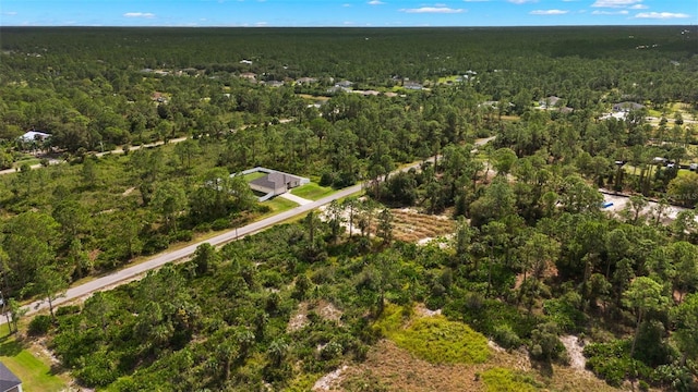 1217 Magnolia Ave, Lehigh Acres, FL 33972