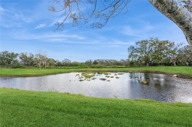 1433 Emerald Hill Way, Valrico, FL 33594 - water view