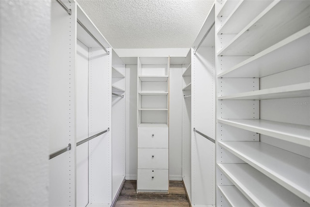 spacious closet with dark wood-type flooring