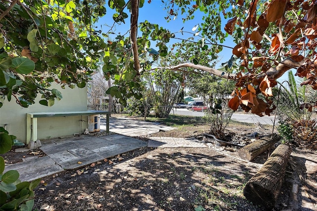 view of yard featuring a patio area