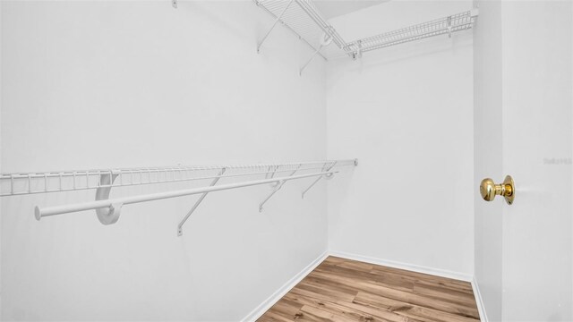 3499 Cedar Ln, Palm Harbor, FL 34684 - walk in closet with light wood-type flooring