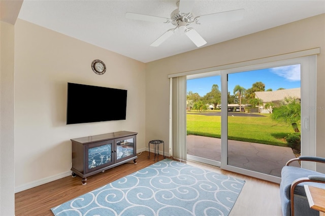 living room with a wealth of natural light, light hardwood / wood-style flooring, and ceiling fan