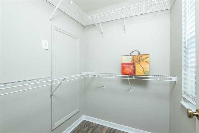 walk in closet featuring dark hardwood / wood-style floors