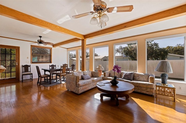 living room with ceiling fan, beamed ceiling, and dark hardwood / wood-style floors