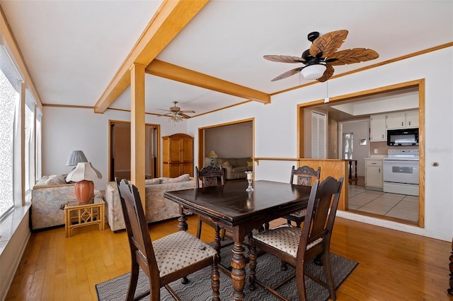 dining room featuring ceiling fan, a healthy amount of sunlight, and light wood-type flooring