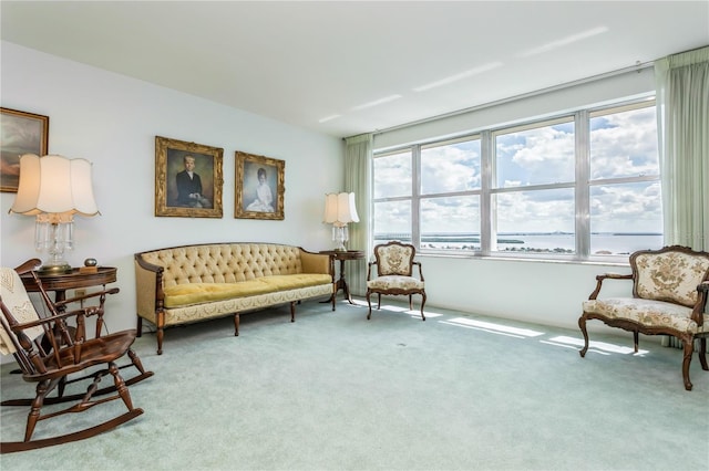 sitting room with carpet