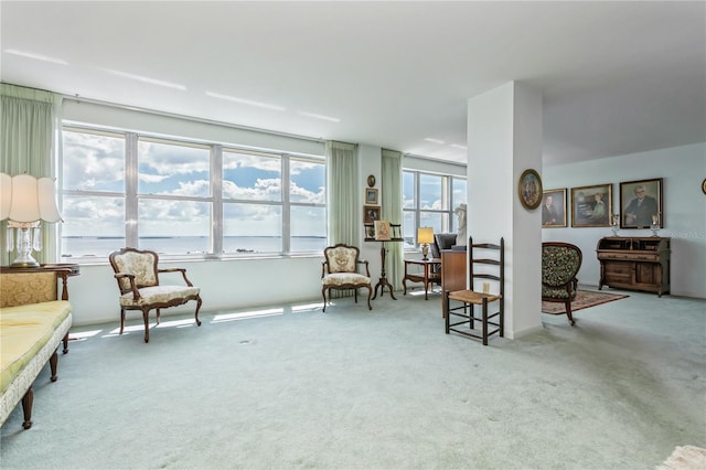 sitting room with carpet and a water view