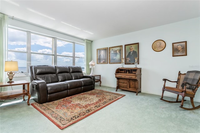 living room featuring carpet flooring