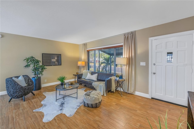 living room with light hardwood / wood-style floors