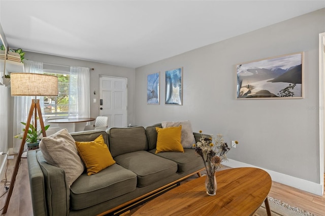 living room featuring light hardwood / wood-style floors