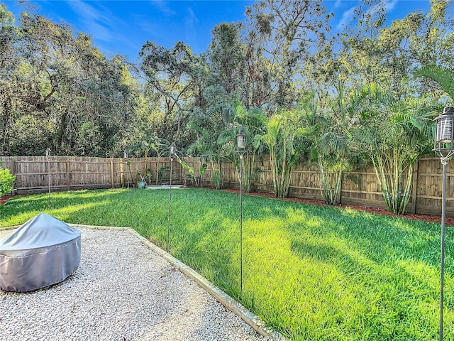 view of yard featuring a patio