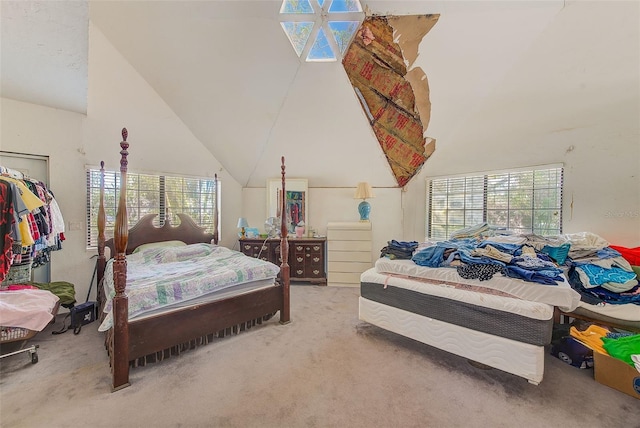 bedroom featuring carpet floors and high vaulted ceiling