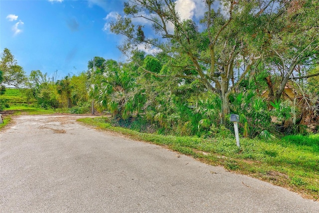 7923 18th Ave E, Palmetto, FL 34221 - view of asphalt street