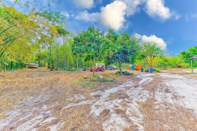 7923 18th Ave E, Palmetto, FL 34221 - view of yard