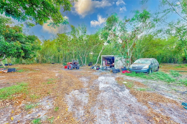 7923 18th Ave E, Palmetto, FL 34221 - view of yard