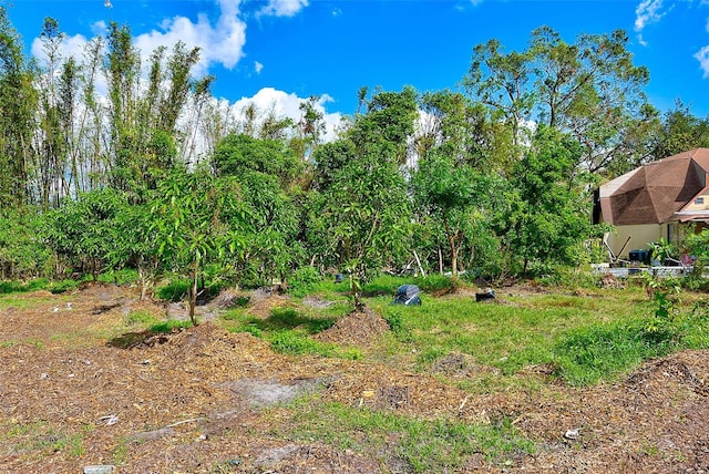 7923 18th Ave E, Palmetto, FL 34221 - view of yard