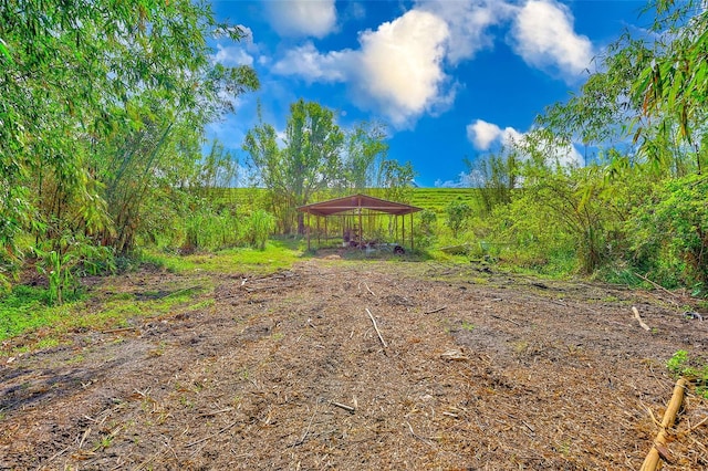 7923 18th Ave E, Palmetto, FL 34221 - view of yard
