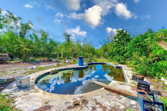 7923 18th Ave E, Palmetto, FL 34221 - view of swimming pool