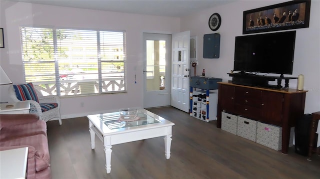 living room featuring hardwood / wood-style floors