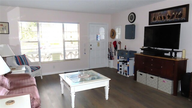 living room featuring dark wood-type flooring