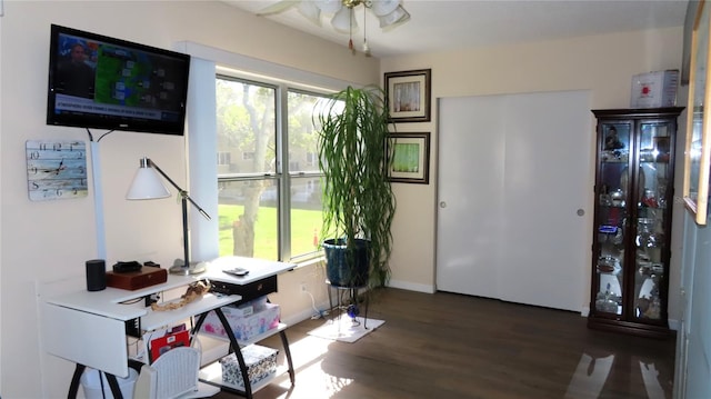 office space featuring ceiling fan and dark hardwood / wood-style floors