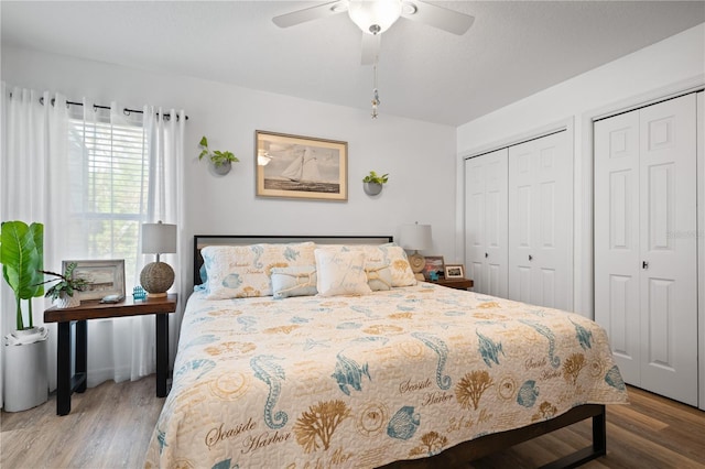 bedroom with multiple closets, ceiling fan, and hardwood / wood-style flooring