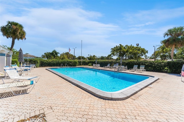 4220 Sheldon Pl Unit 4220, New Port Richey, FL 34652 - community pool with a patio