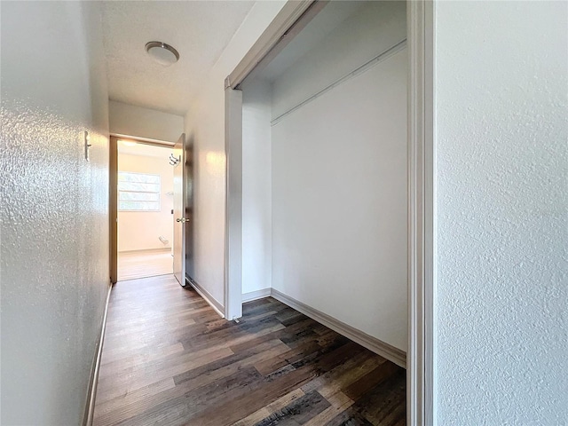 hall with dark hardwood / wood-style floors