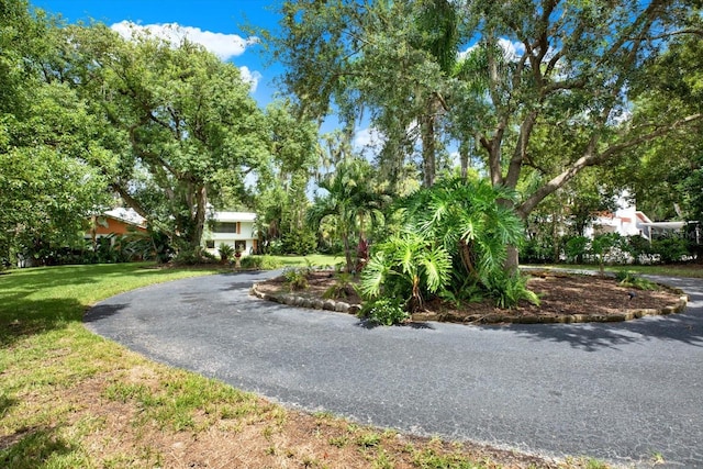 exterior space with aphalt driveway