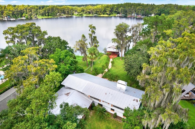 aerial view with a water view and a view of trees