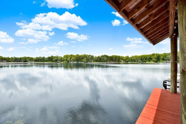 dock area featuring a water view and a view of trees