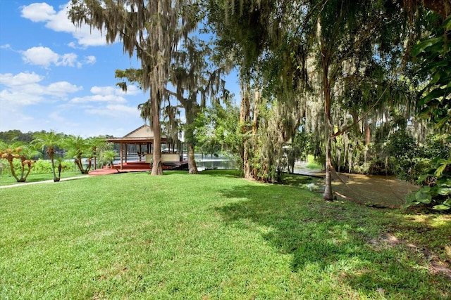 20333 Moss Branch Ct, Lutz, FL 33558 - view of yard