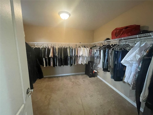 spacious closet with carpet floors