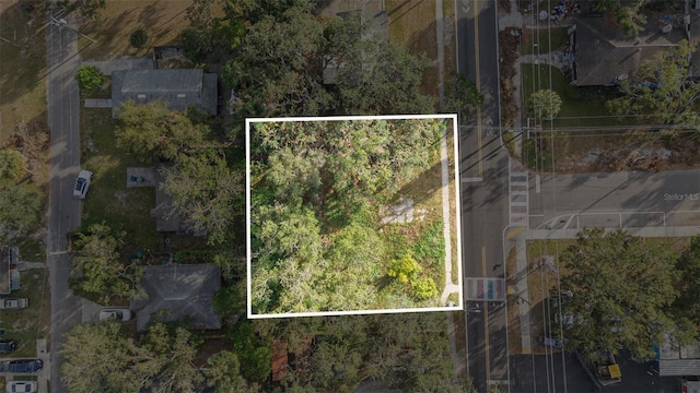 4505 N 34th St, Tampa, FL 33610 - photo 7