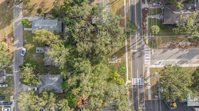 4505 N 34th St, Tampa, FL 33610 - photo 8