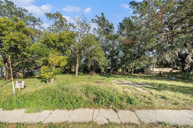 4505 N 34th St, Tampa, FL 33610 - photo 5